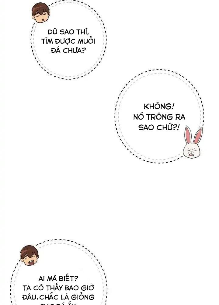 Dungeon Reset Chapter 34 - Trang 19