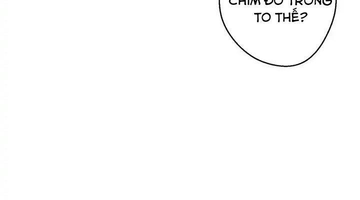 Dungeon Reset Chapter 38 - Trang 39