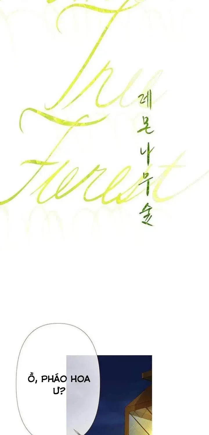 Dưới Rừng Chanh Vàng Chapter 15 - Trang 31