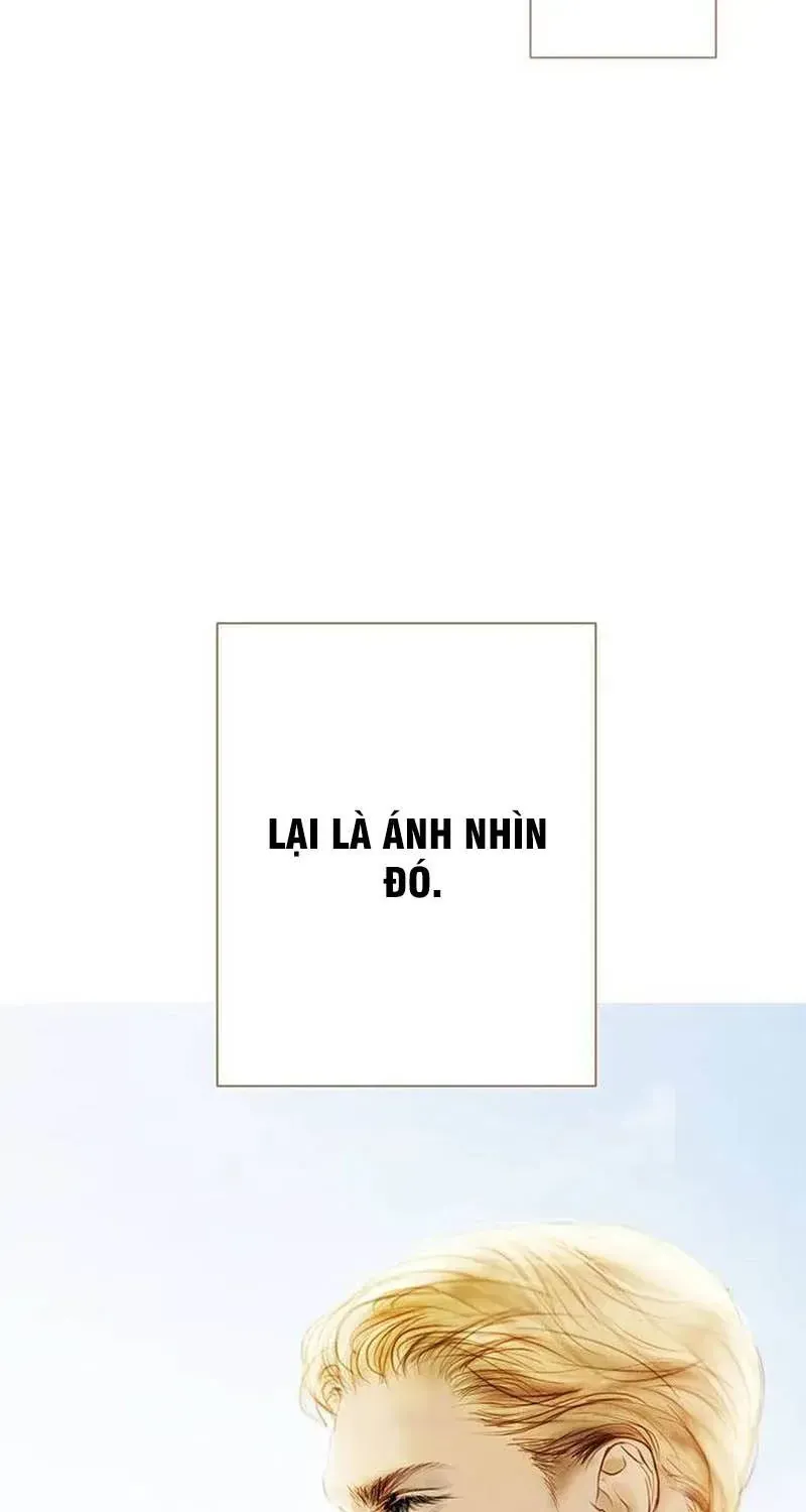 Dưới Rừng Chanh Vàng Chapter 9 - Trang 33