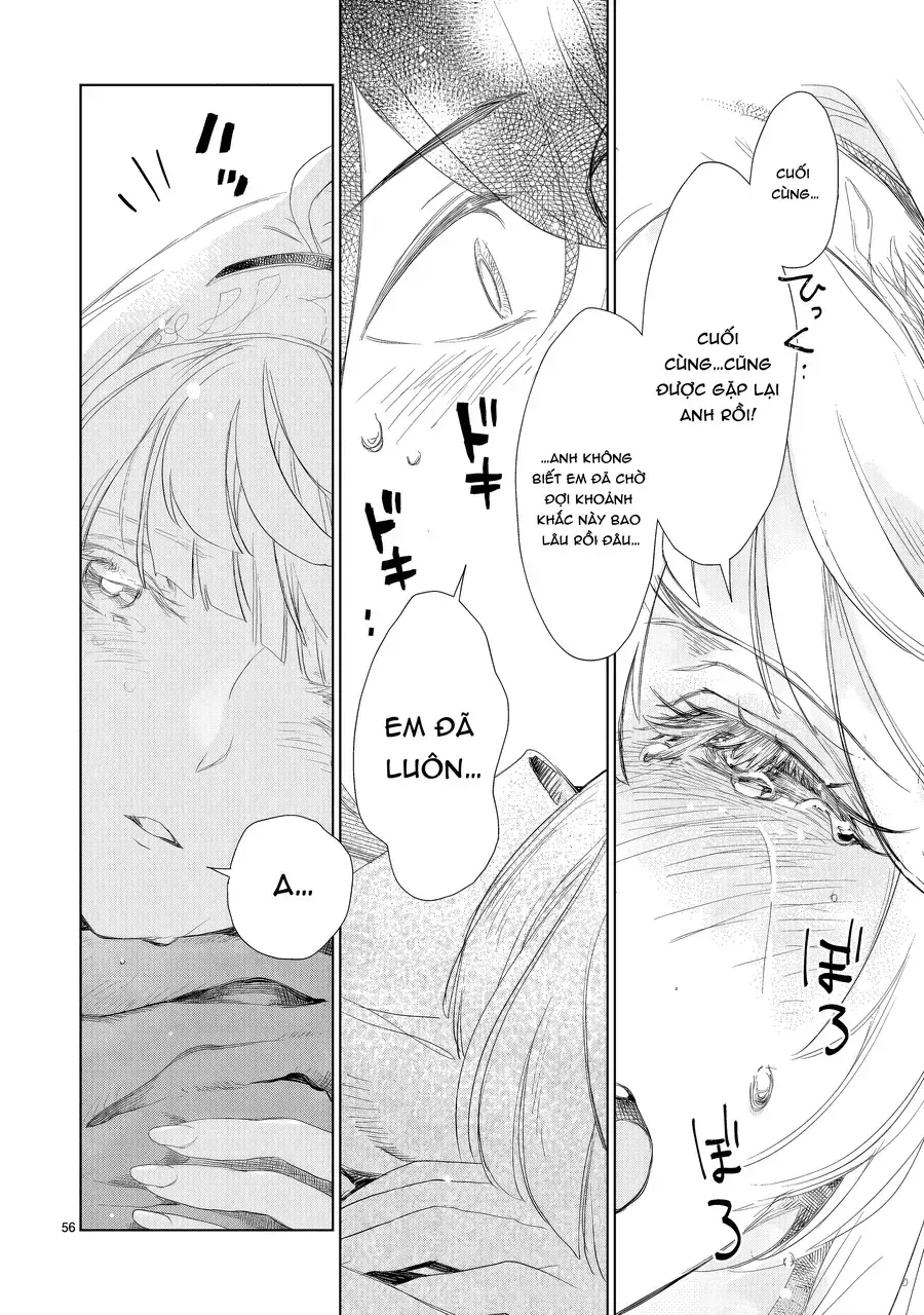 Elf Tsuma To Hajimeru Yuukyuu No Tabi Chapter 1.2 - Trang 14