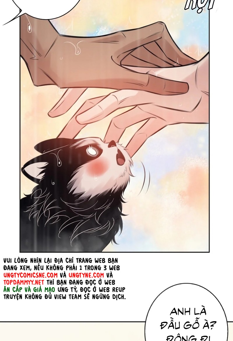 EM LÀ PHƯƠNG THUỐC CHỮA LÀNH CỦA TÔI Chapter 18 - Trang 41