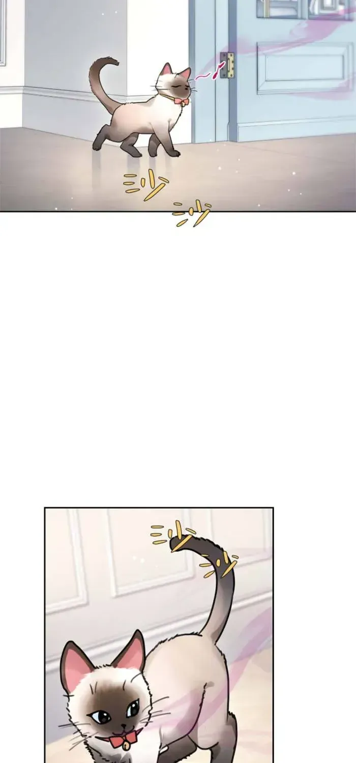 Gả Cho Kẻ Thù Của Người Cũ Sau Trùng Sinh Chapter 35 - Trang 37