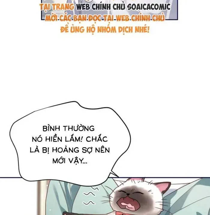 Gả Cho Kẻ Thù Của Người Cũ Sau Trùng Sinh Chapter 36 - Trang 40