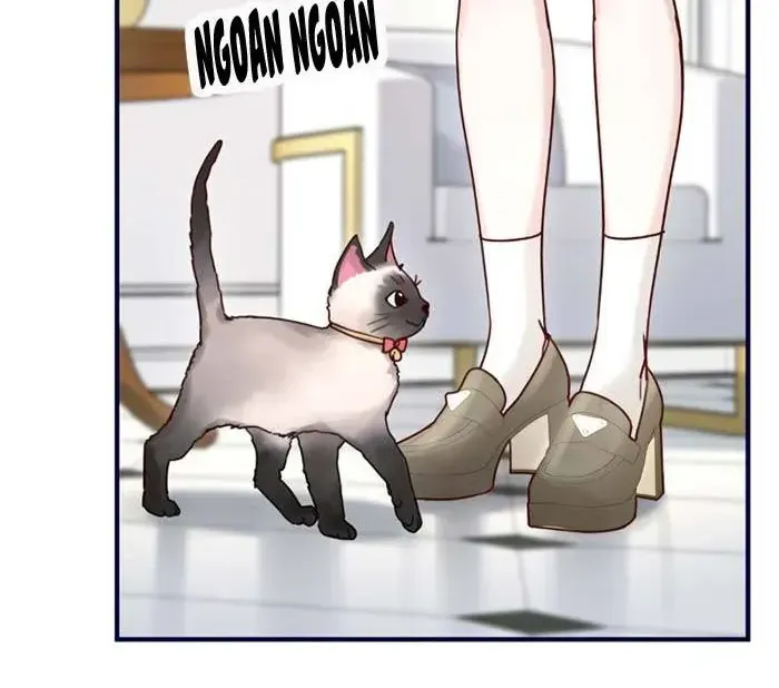 Gả Cho Kẻ Thù Của Người Cũ Sau Trùng Sinh Chapter 37 - Trang 44