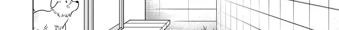 Gal To Tsuchinoko Chapter 6 - Trang 17
