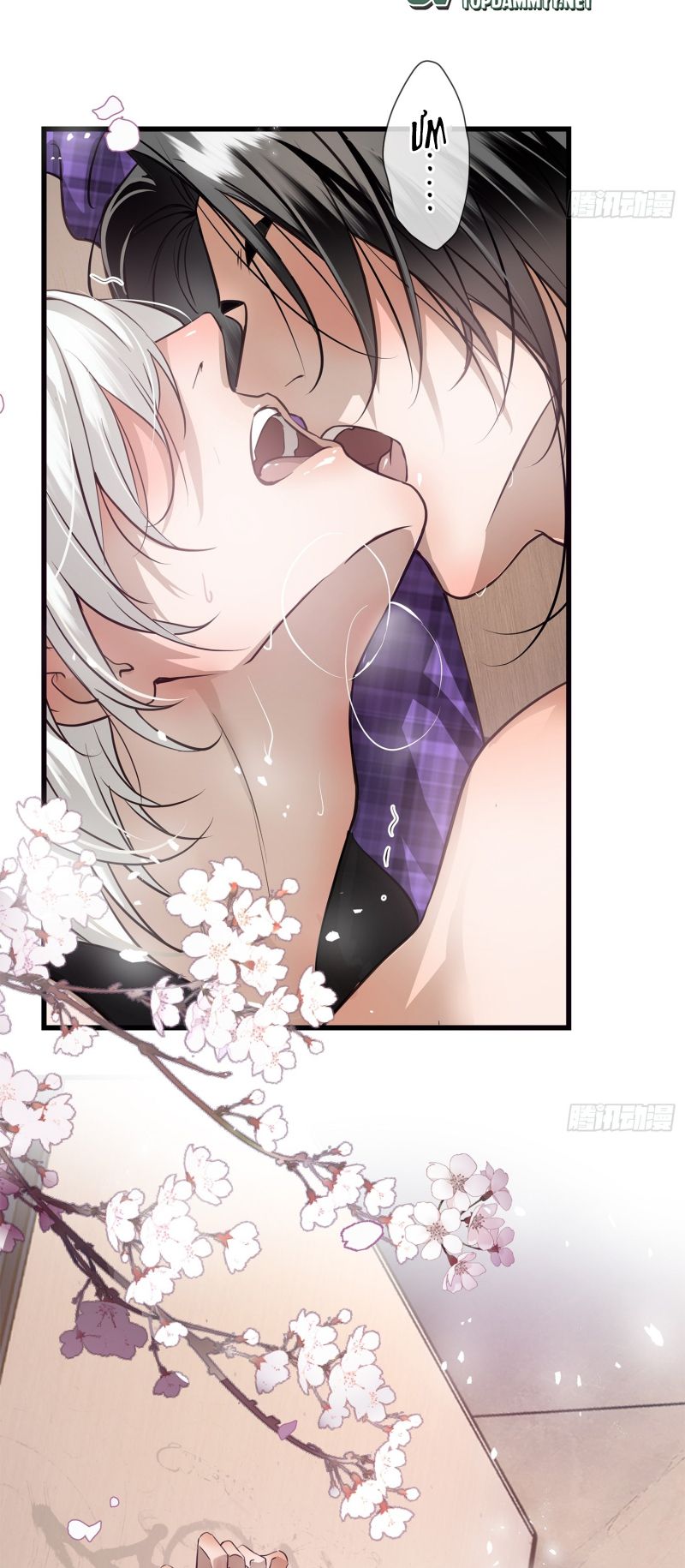 Gặp Tuyết Giữa Hạ Chapter 2 - Trang 27