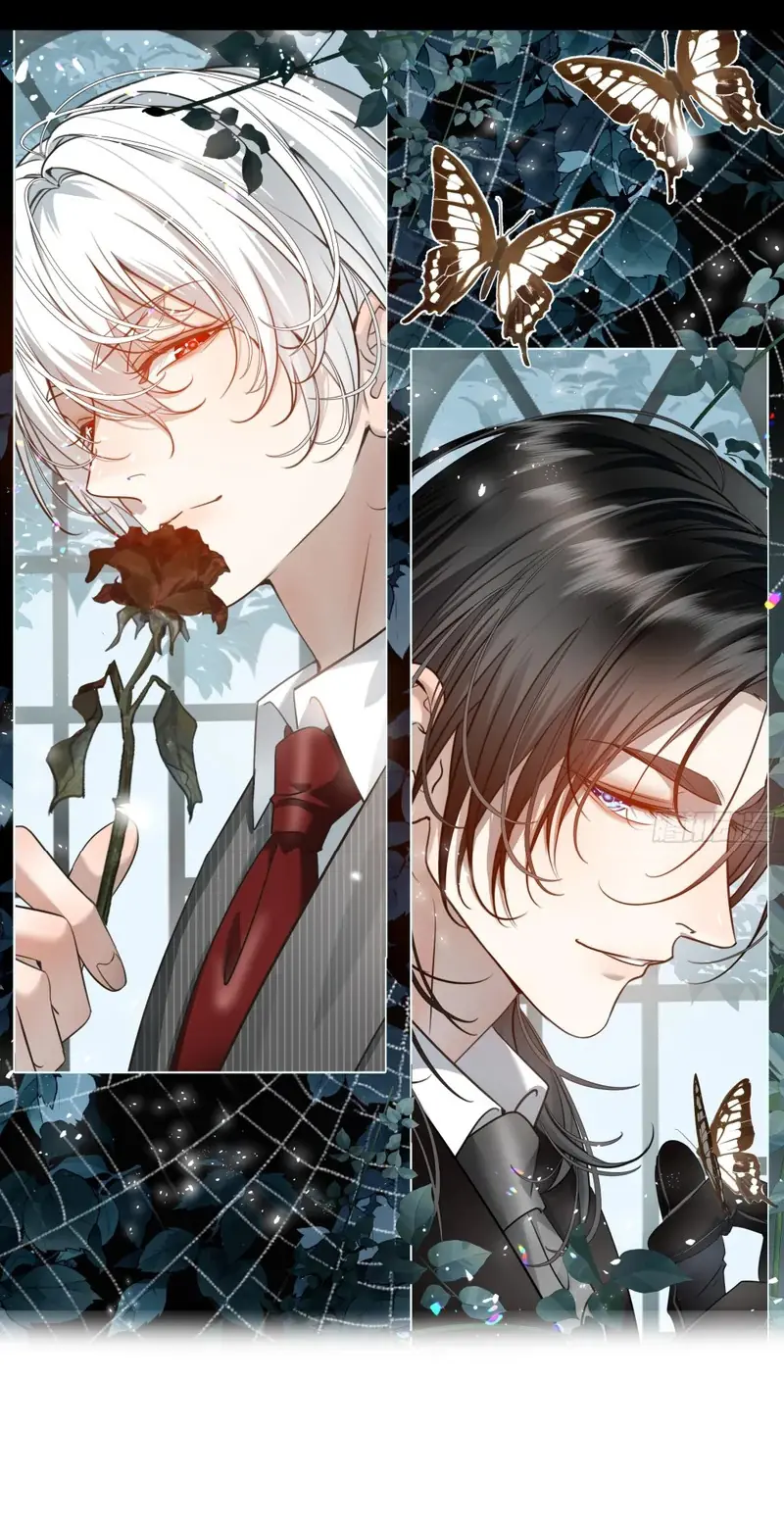 Gặp Tuyết Giữa Hạ Chapter 33 - Trang 3