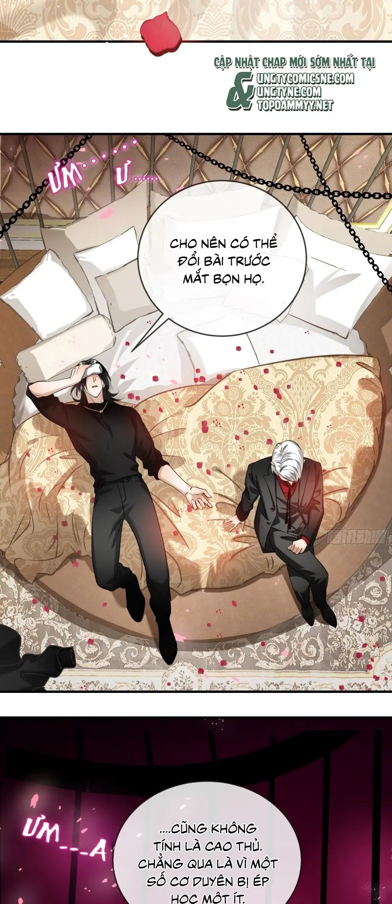 Gặp Tuyết Giữa Hạ Chapter 6 - Trang 12