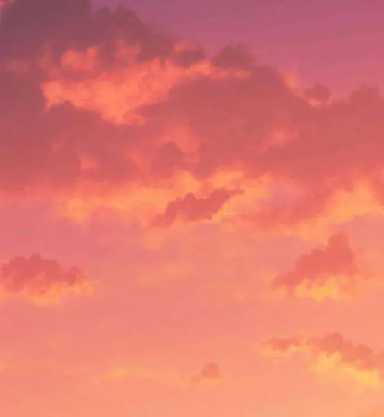 Gậy gỗ 99+ Chapter 4 - Trang 3