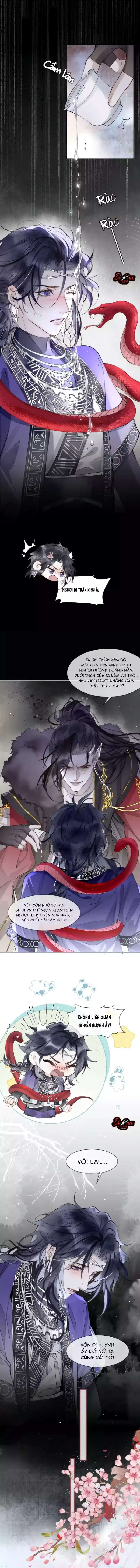Giả Kết Duyên Cùng Xà Vương Kẻ Thù Không Đội Trời Chung Chapter 2 - Trang 5