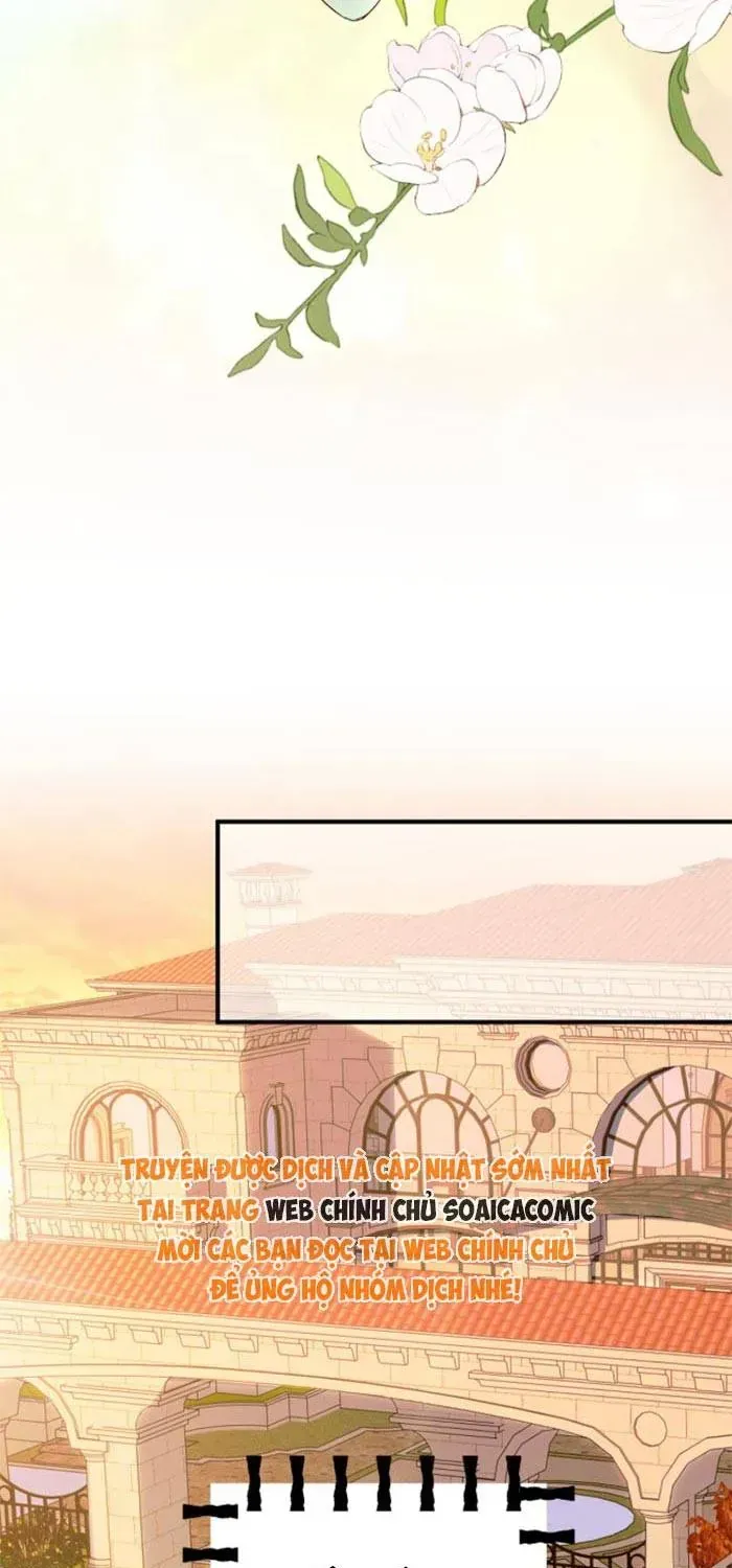 Giả Mù Trở Về, Tôi Xé Nát Hoắc Gia Chapter 15 - Trang 29