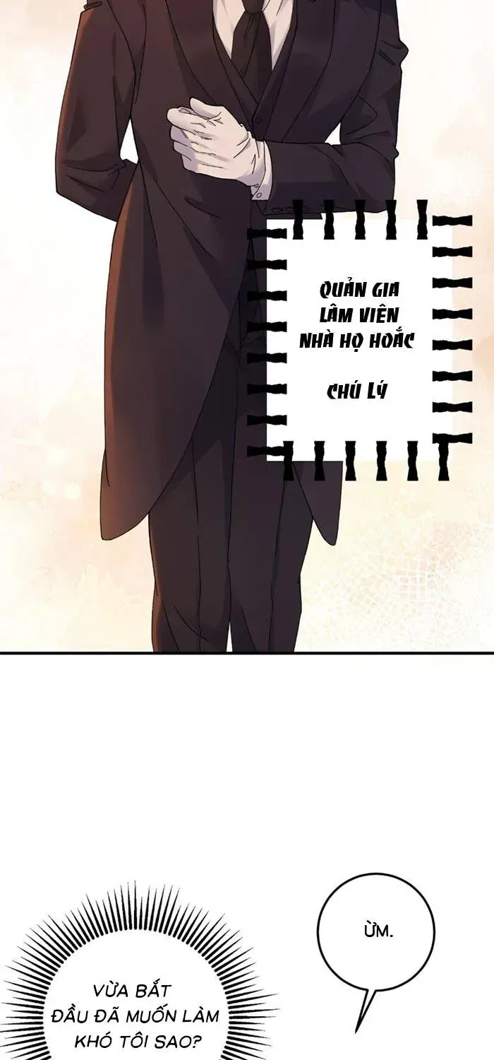 Giả Mù Trở Về, Tôi Xé Nát Hoắc Gia Chapter 16 - Trang 11