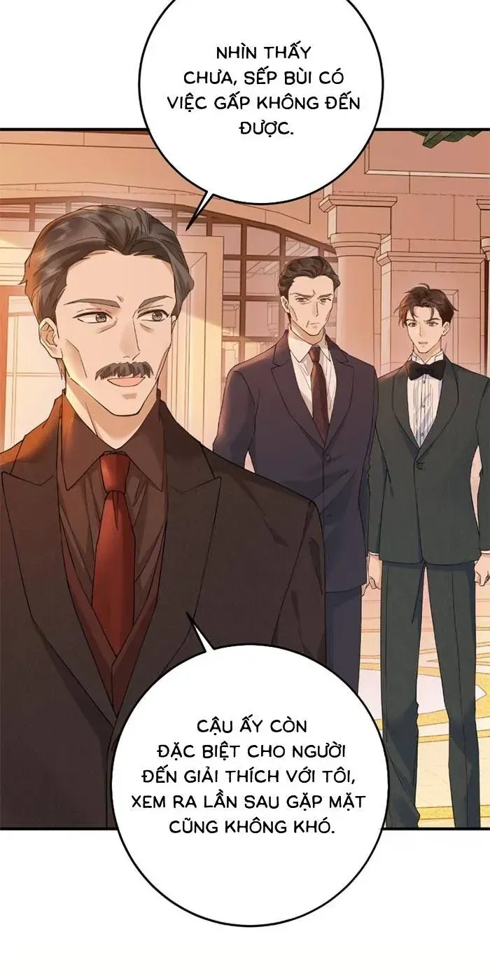 Giả Mù Trở Về, Tôi Xé Nát Hoắc Gia Chapter 18 - Trang 12