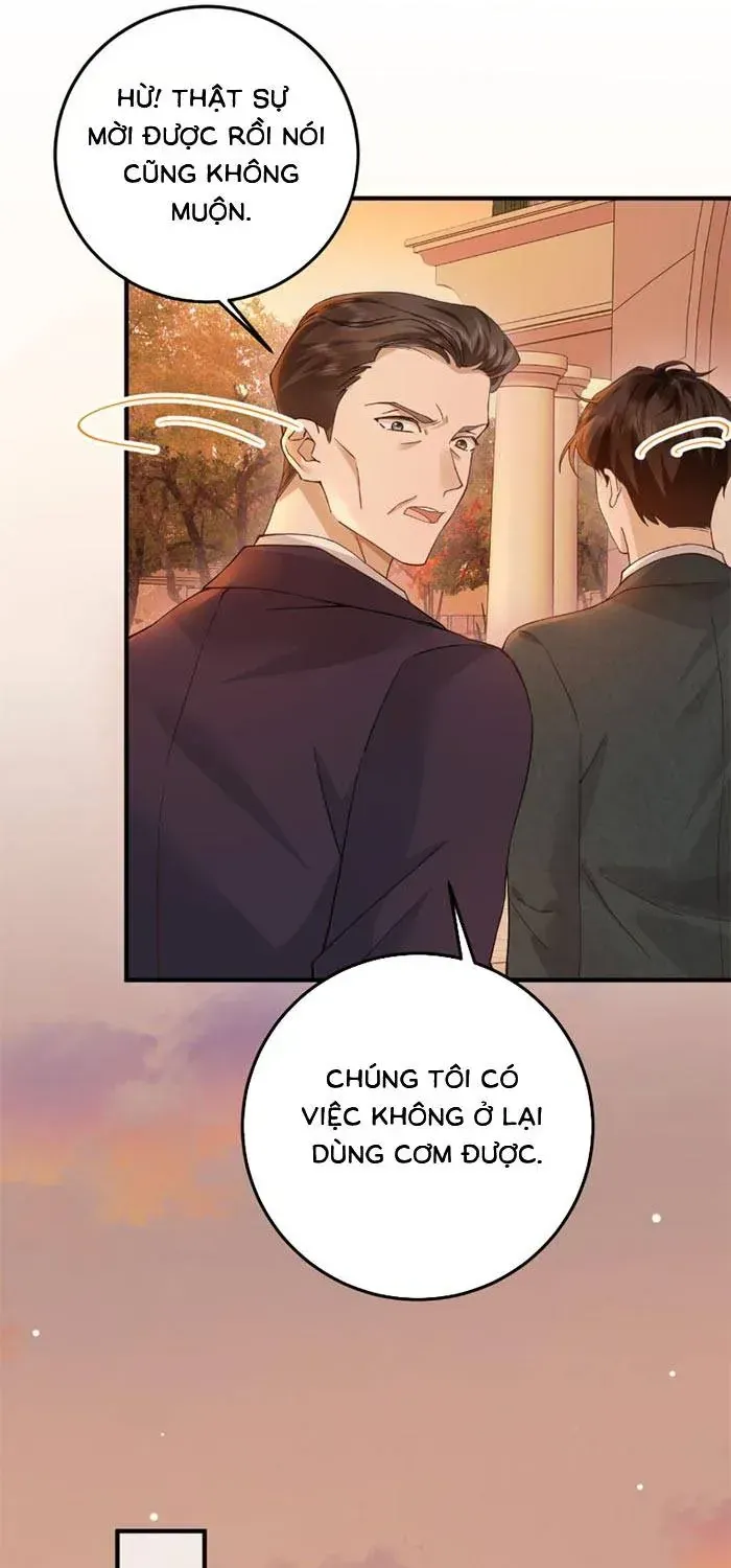 Giả Mù Trở Về, Tôi Xé Nát Hoắc Gia Chapter 18 - Trang 13
