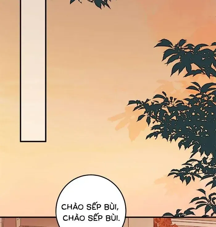 Giả Mù Trở Về, Tôi Xé Nát Hoắc Gia Chapter 18 - Trang 6