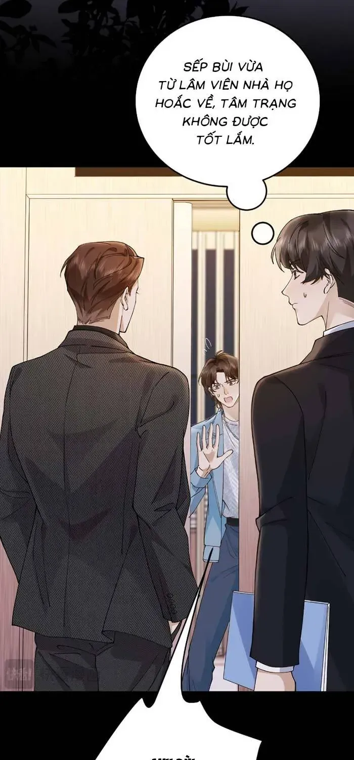 Giả Mù Trở Về, Tôi Xé Nát Hoắc Gia Chapter 23 - Trang 13