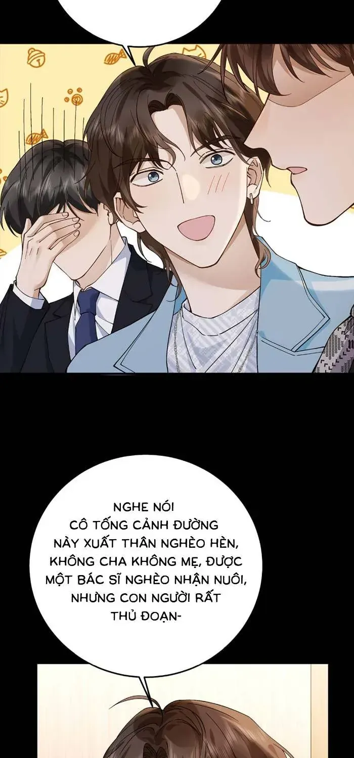 Giả Mù Trở Về, Tôi Xé Nát Hoắc Gia Chapter 23 - Trang 21
