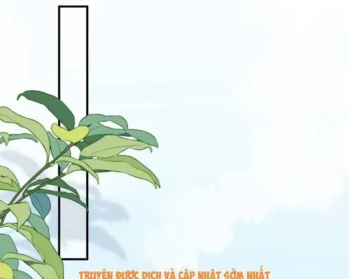Giả Mù Trở Về, Tôi Xé Nát Hoắc Gia Chapter 47 - Trang 47
