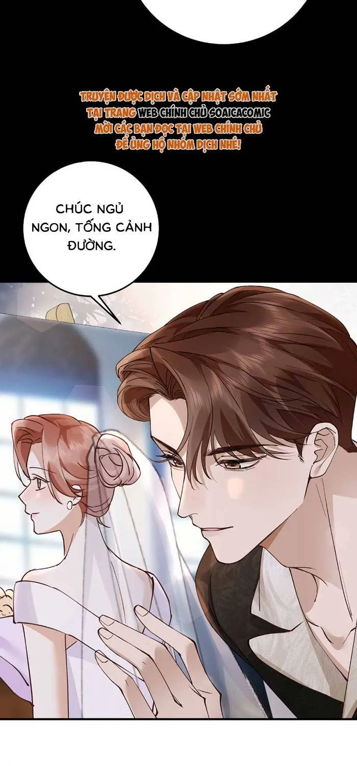 Giả Mù Trở Về, Tôi Xé Nát Hoắc Gia Chapter 49 - Trang 17