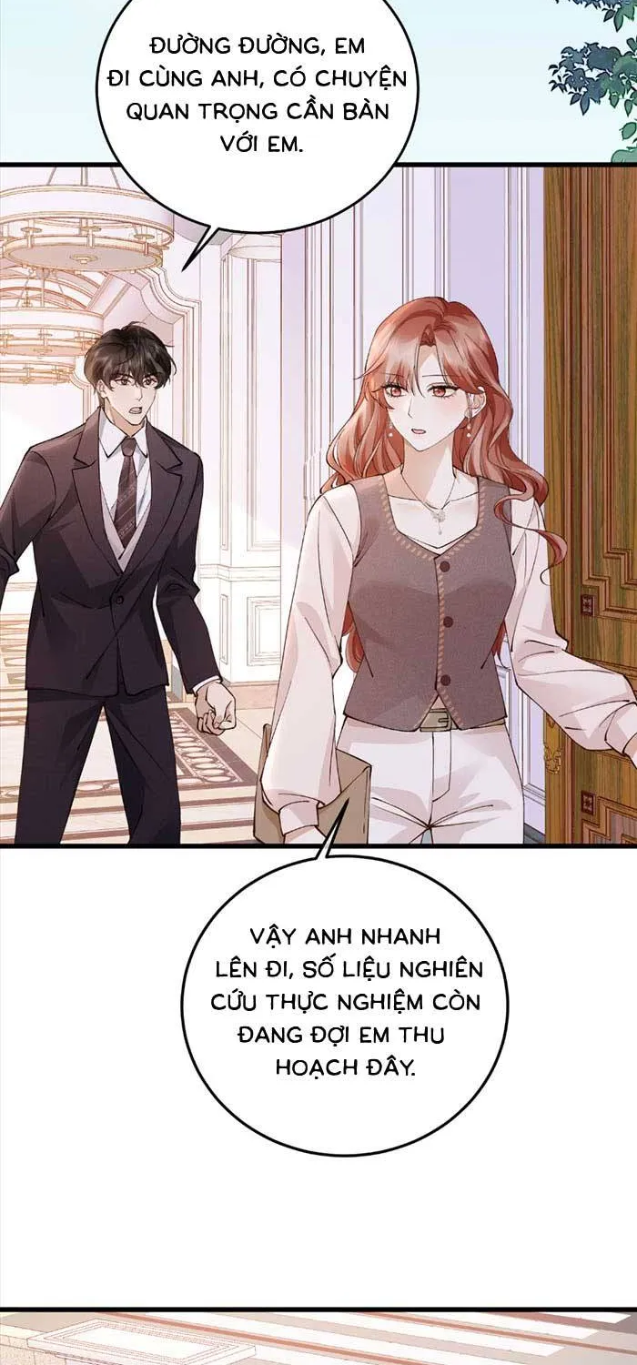 Giả Mù Trở Về, Tôi Xé Nát Hoắc Gia Chapter 49 - Trang 20