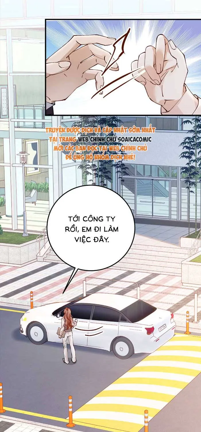 Giả Mù Trở Về, Tôi Xé Nát Hoắc Gia Chapter 49 - Trang 36