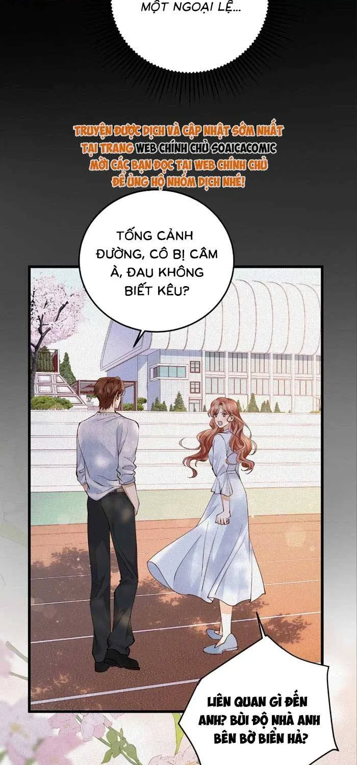 Giả Mù Trở Về, Tôi Xé Nát Hoắc Gia Chapter 51 - Trang 29