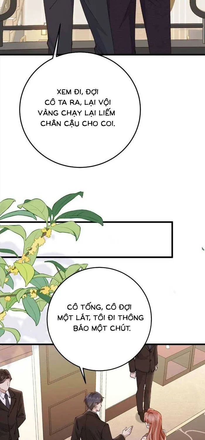 Giả Mù Trở Về, Tôi Xé Nát Hoắc Gia Chapter 51 - Trang 5
