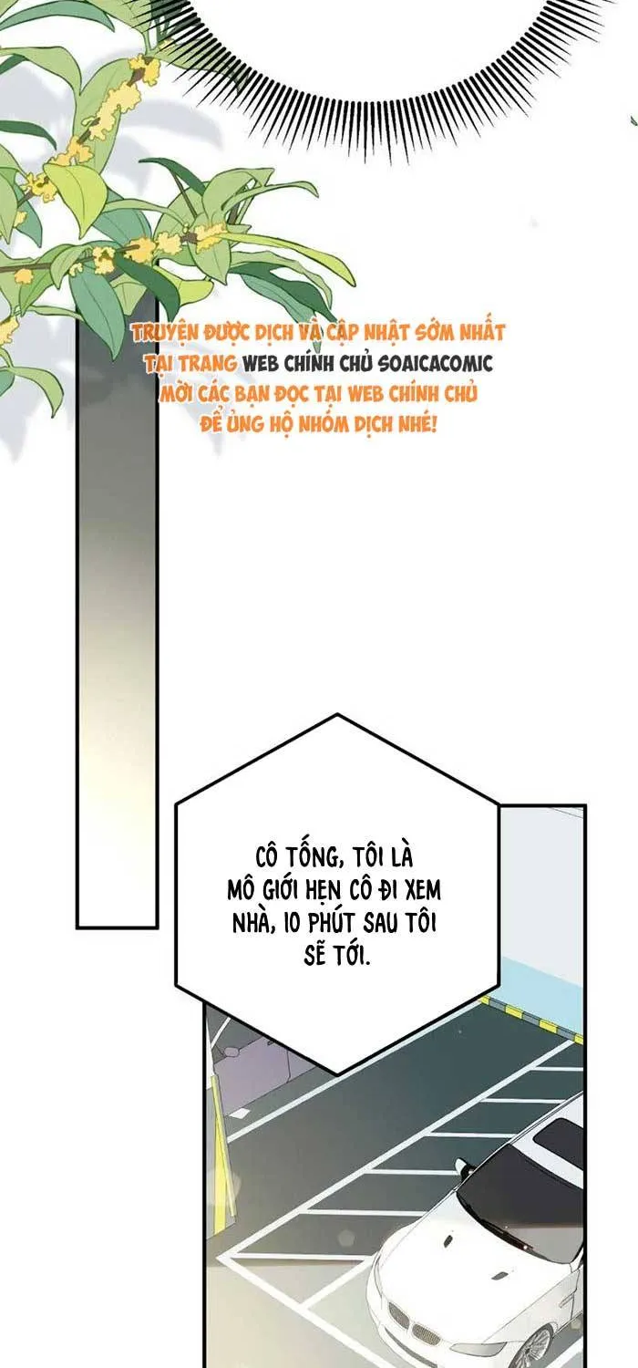 Giả Mù Trở Về, Tôi Xé Nát Hoắc Gia Chapter 56 - Trang 28