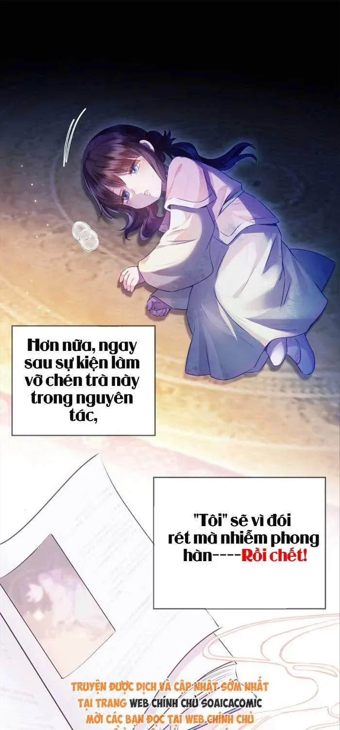 Giả Ngoan Để Sống Ai Ngờ Được Cưng Chiều Chapter 1 - Trang 37