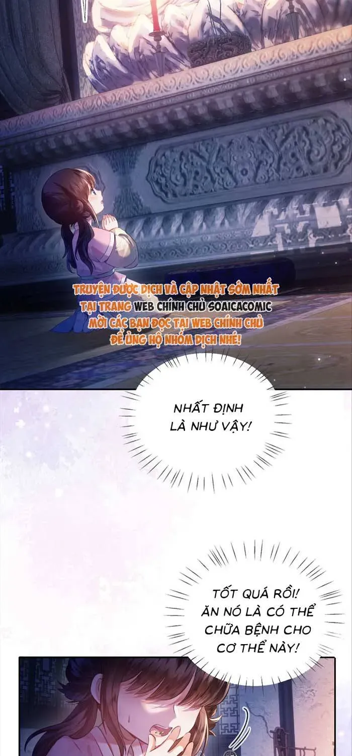 Giả Ngoan Để Sống Ai Ngờ Được Cưng Chiều Chapter 1 - Trang 47
