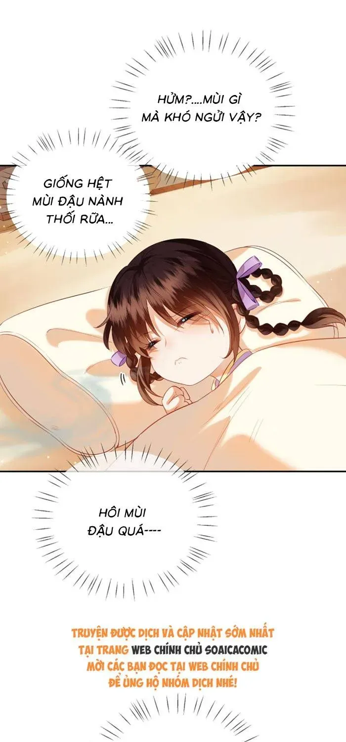 Giả Ngoan Để Sống Ai Ngờ Được Cưng Chiều Chapter 6 - Trang 10