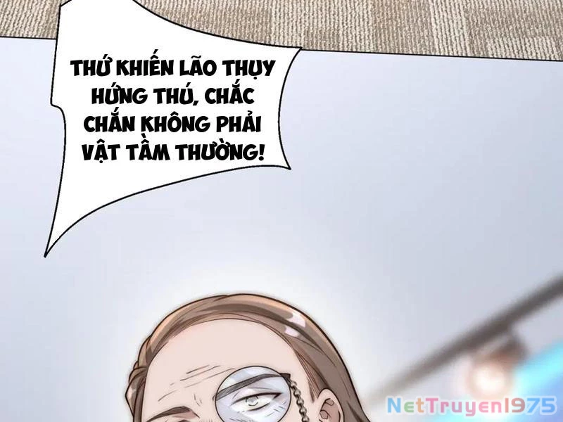 Giá Trị Hàng Hóa Giảm Trăm Vạn Lần Chapter 35 - Trang 48
