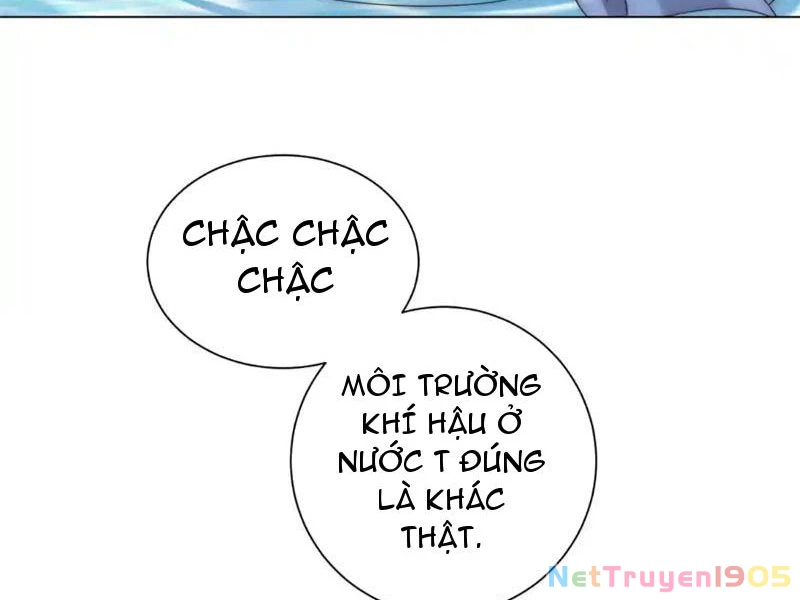 Giá Trị Hàng Hóa Giảm Trăm Vạn Lần Chapter 55 - Trang 4