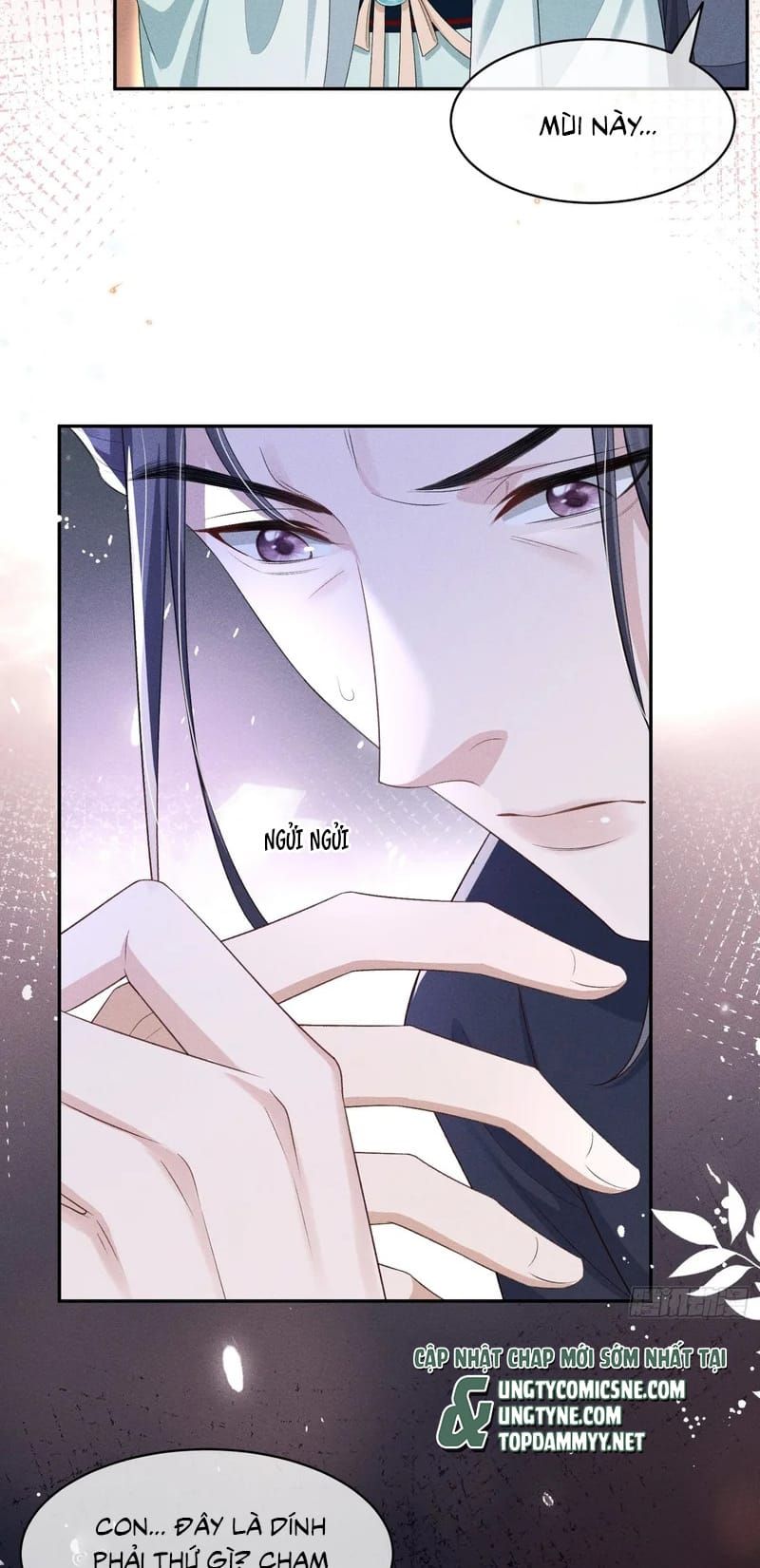 GIẤC MỘNG THANH VÂN Chapter 16 - Trang 8
