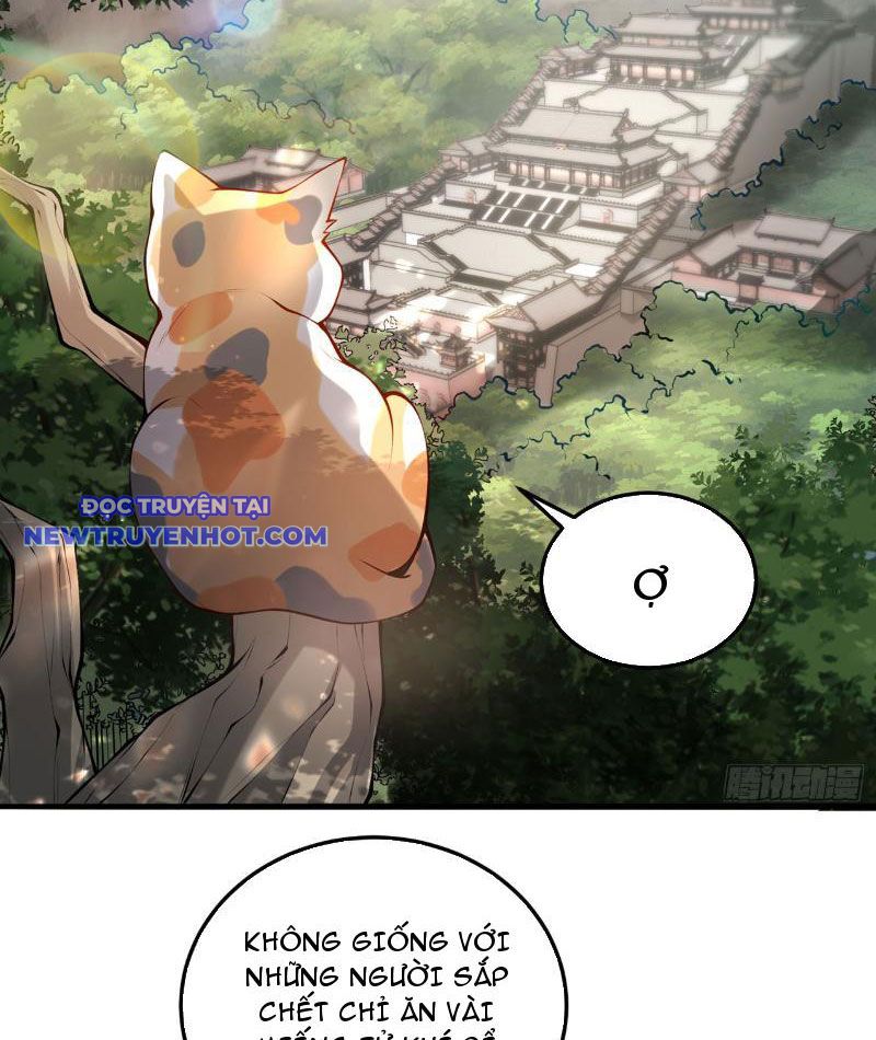 Giết Ta Thêm Mấy Lần Ta Liền Vô Địch Chapter 26 - Trang 21