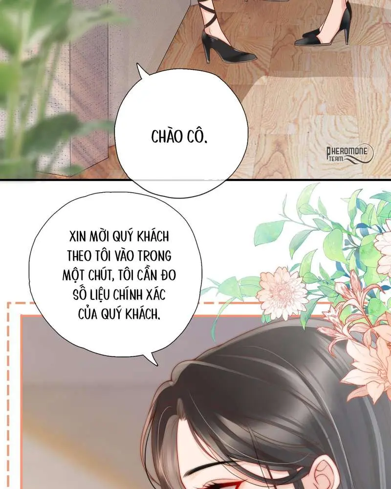 Gió Lớn Hôn Ánh Trăng - Pheromone Chapter 1 - Trang 21