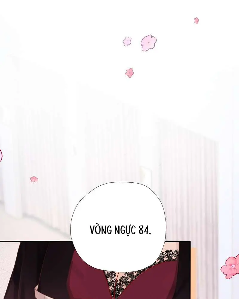 Gió Lớn Hôn Ánh Trăng - Pheromone Chapter 1 - Trang 29