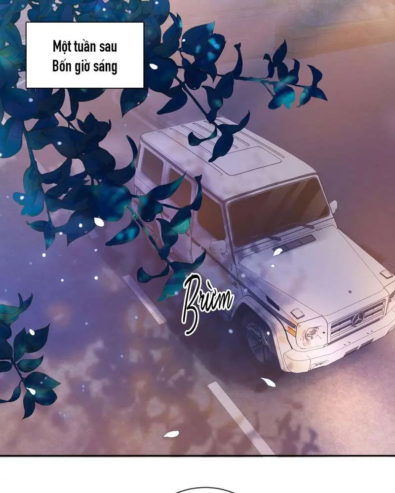 Gió Lớn Hôn Ánh Trăng - Pheromone Chapter 10 - Trang 4