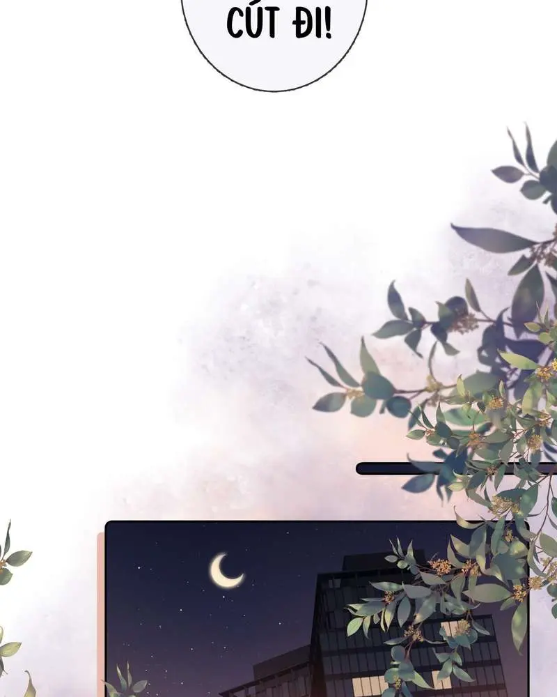 Gió Lớn Hôn Ánh Trăng - Pheromone Chapter 11 - Trang 43