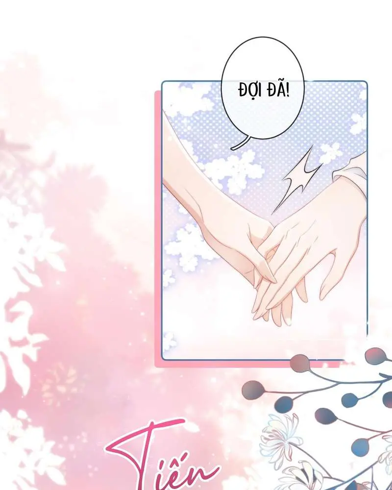 Gió Lớn Hôn Ánh Trăng - Pheromone Chapter 11 - Trang 45
