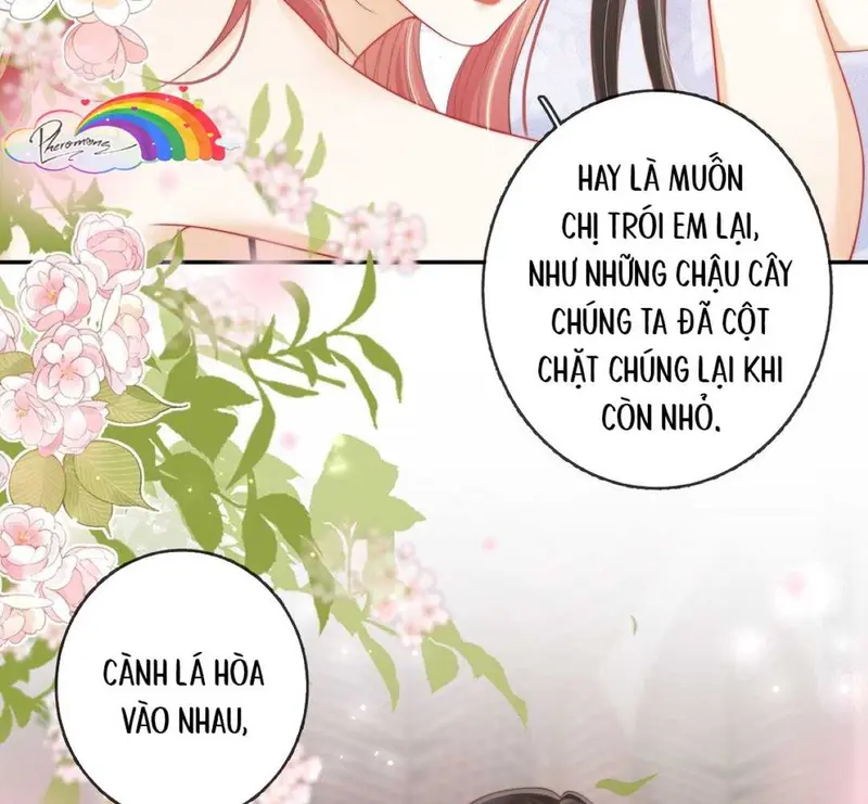 Gió Lớn Hôn Ánh Trăng - Pheromone Chapter 22 - Trang 24