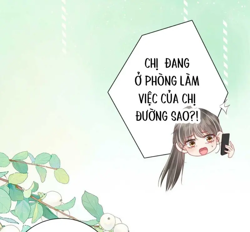 Gió Lớn Hôn Ánh Trăng - Pheromone Chapter 24 - Trang 6