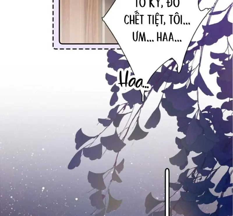 Gió Lớn Hôn Ánh Trăng - Pheromone Chapter 27 - Trang 35