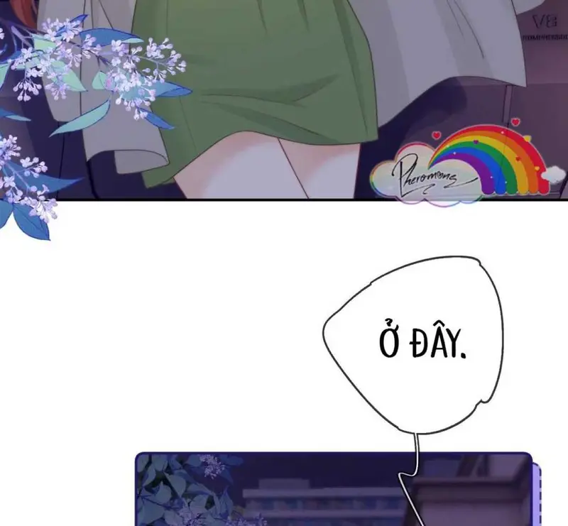 Gió Lớn Hôn Ánh Trăng - Pheromone Chapter 28 - Trang 7
