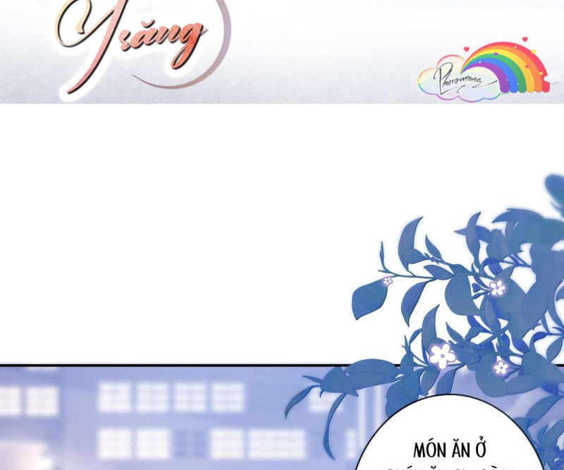 Gió Lớn Hôn Ánh Trăng - Pheromone Chapter 36 - Trang 3