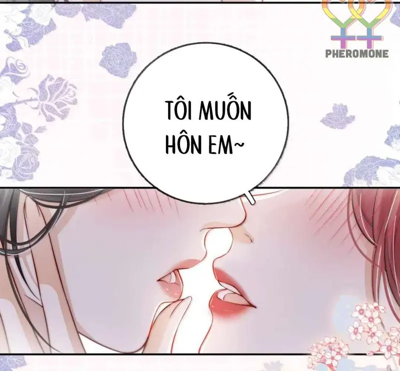 Gió Lớn Hôn Ánh Trăng - Pheromone Chapter 40 - Trang 11