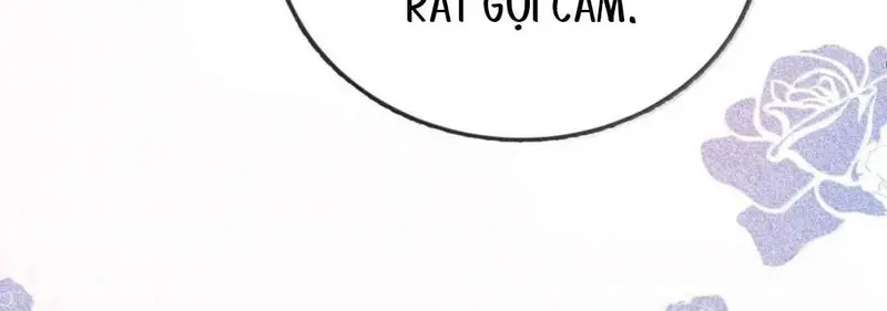 Gió Lớn Hôn Ánh Trăng - Pheromone Chapter 40 - Trang 9