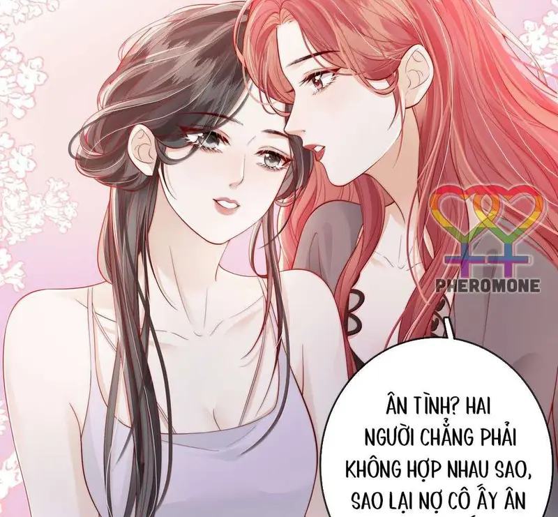 Gió Lớn Hôn Ánh Trăng - Pheromone Chapter 41 - Trang 42