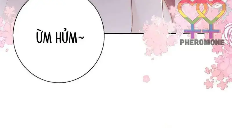Gió Lớn Hôn Ánh Trăng - Pheromone Chapter 42 - Trang 18